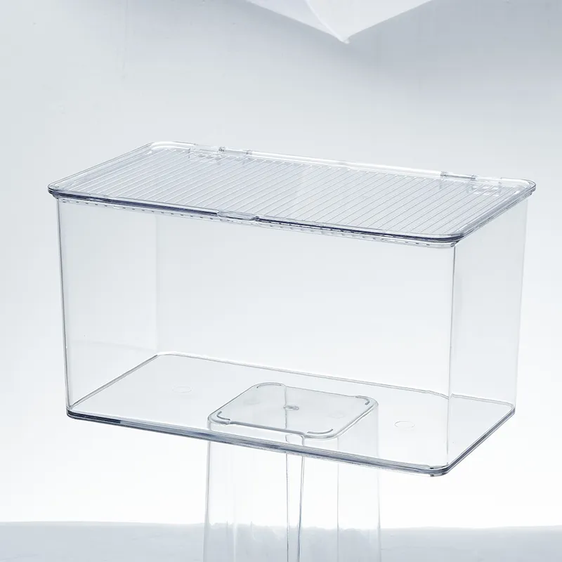 Êtes-vous prêt à découvrir les derniers bacs transparents pour des solutions de stockage sans effort ?